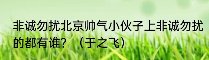 非诚勿扰北京帅气小伙子上非诚勿扰的都有谁？（于之飞）