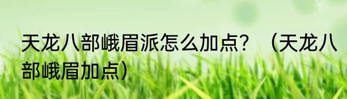 天龙八部峨眉派怎么加点？（天龙八部峨眉加点）
