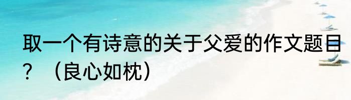 取一个有诗意的关于父爱的作文题目？（良心如枕）