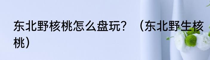 东北野核桃怎么盘玩？（东北野生核桃）