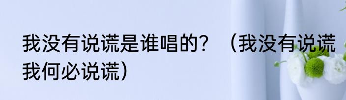 我没有说谎是谁唱的？（我没有说谎我何必说谎）