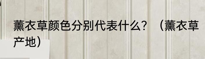 薰衣草颜色分别代表什么？（薰衣草产地）