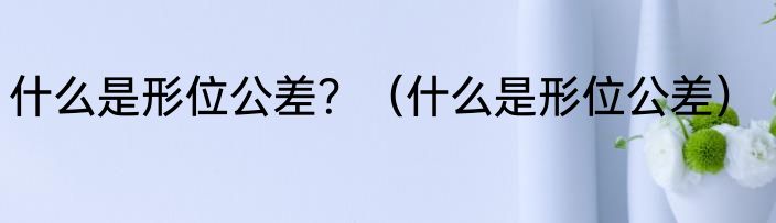 什么是形位公差？（什么是形位公差）