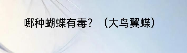 哪种蝴蝶有毒？（大鸟翼蝶）
