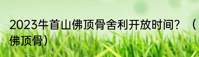 2023牛首山佛顶骨舍利开放时间？（佛顶骨）