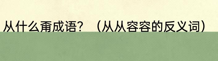 从什么甭成语？（从从容容的反义词）