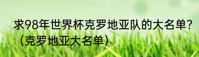 求98年世界杯克罗地亚队的大名单？（克罗地亚大名单）