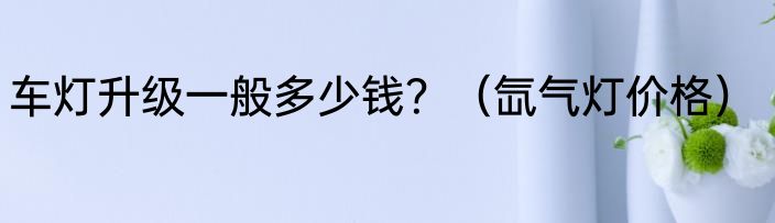 车灯升级一般多少钱？（氙气灯价格）
