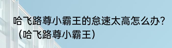 哈飞路尊小霸王的怠速太高怎么办？（哈飞路尊小霸王）