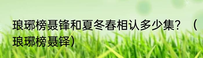 琅琊榜聂锋和夏冬春相认多少集？（琅琊榜聂铎）