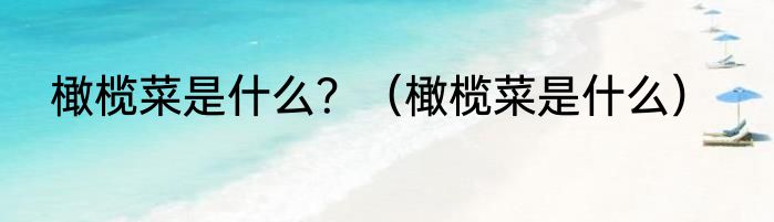 橄榄菜是什么？（橄榄菜是什么）
