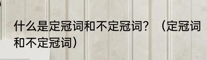 什么是定冠词和不定冠词？（定冠词和不定冠词）