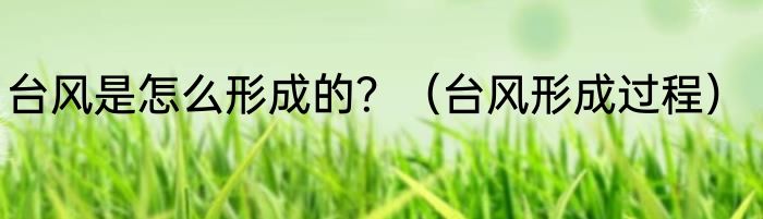 台风是怎么形成的？（台风形成过程）