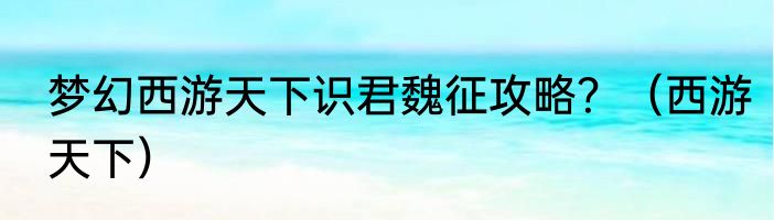 梦幻西游天下识君魏征攻略？（西游天下）