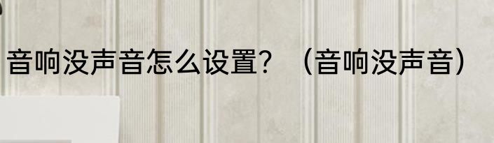 音响没声音怎么设置？（音响没声音）