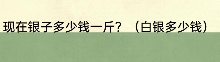 现在银子多少钱一斤？（白银多少钱）