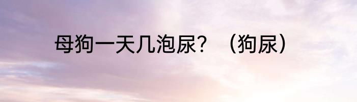 母狗一天几泡尿？（狗尿）