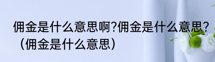 佣金是什么意思啊?佣金是什么意思？（佣金是什么意思）