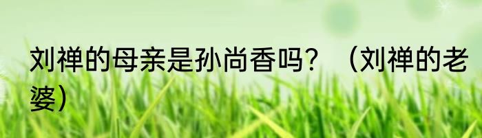 刘禅的母亲是孙尚香吗？（刘禅的老婆）