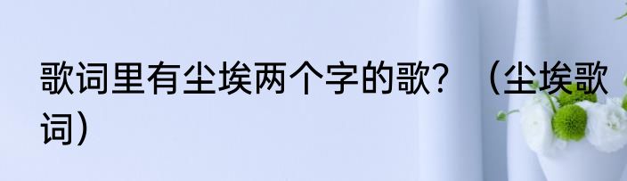 歌词里有尘埃两个字的歌？（尘埃歌词）