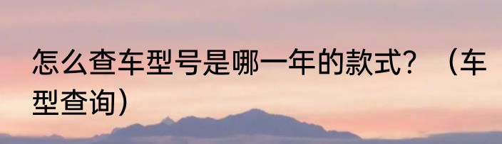 怎么查车型号是哪一年的款式？（车型查询）