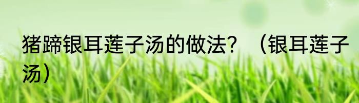 猪蹄银耳莲子汤的做法？（银耳莲子汤）