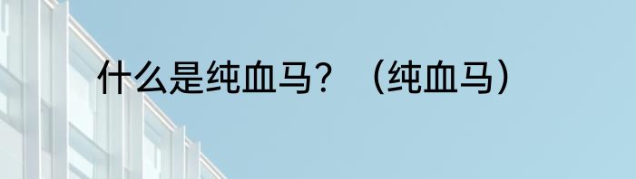 什么是纯血马？（纯血马）