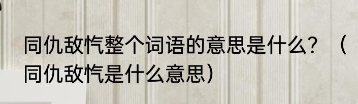 同仇敌忾整个词语的意思是什么？（同仇敌忾是什么意思）