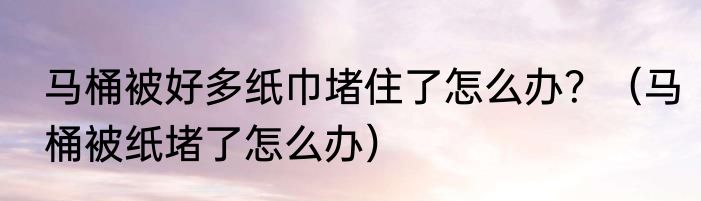 马桶被好多纸巾堵住了怎么办？（马桶被纸堵了怎么办）