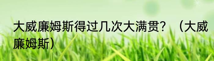 大威廉姆斯得过几次大满贯？（大威廉姆斯）