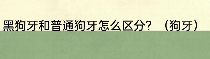 黑狗牙和普通狗牙怎么区分？（狗牙）