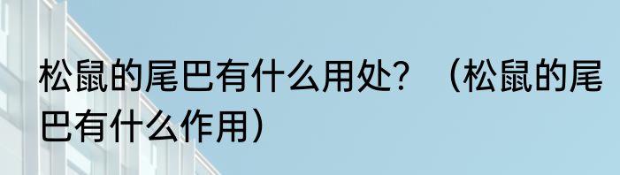 松鼠的尾巴有什么用处？（松鼠的尾巴有什么作用）