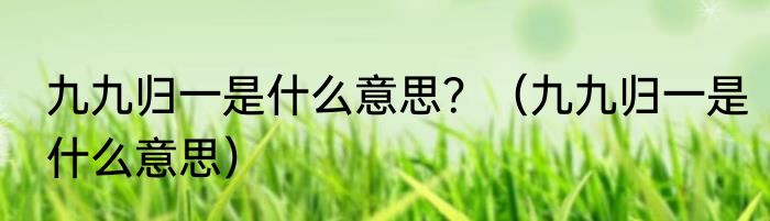 九九归一是什么意思？（九九归一是什么意思）