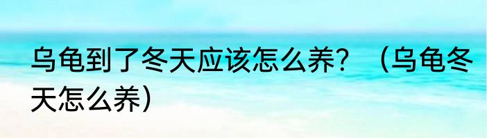 乌龟到了冬天应该怎么养？（乌龟冬天怎么养）