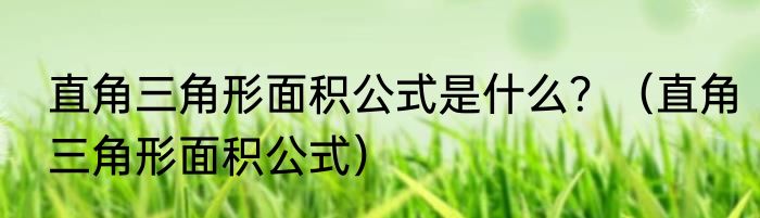 直角三角形面积公式是什么？（直角三角形面积公式）