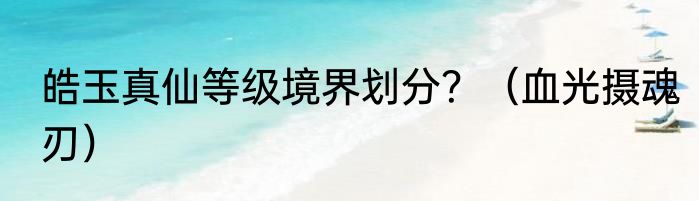 皓玉真仙等级境界划分？（血光摄魂刃）