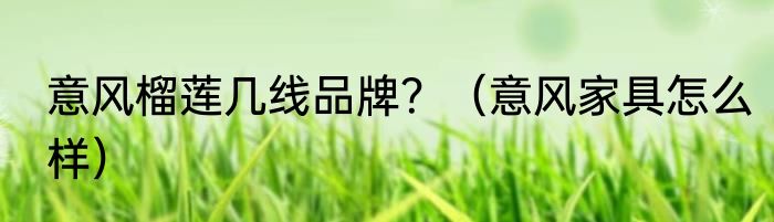 意风榴莲几线品牌？（意风家具怎么样）