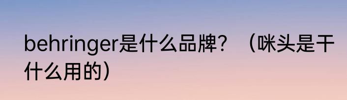 behringer是什么品牌?(咪头是干什么用的)