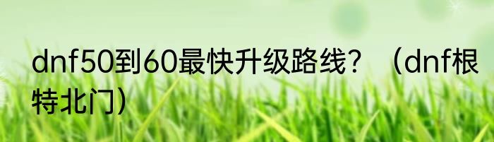 dnf50到60最快升级路线？（dnf根特北门）