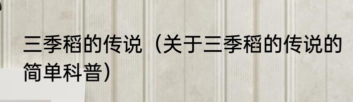 三季稻的传说（关于三季稻的传说的简单科普）