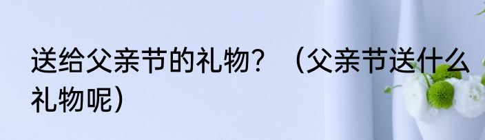 送给父亲节的礼物？（父亲节送什么礼物呢）