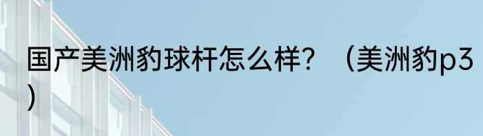 国产美洲豹球杆怎么样？（美洲豹p3）