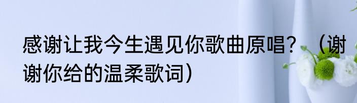 感谢让我今生遇见你歌曲原唱？（谢谢你给的温柔歌词）
