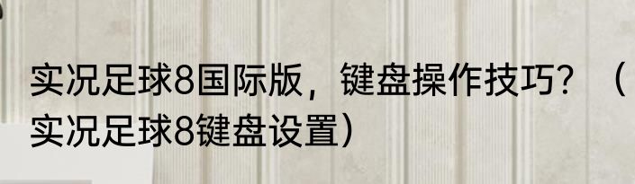 实况足球8国际版，键盘操作技巧？（实况足球8键盘设置）