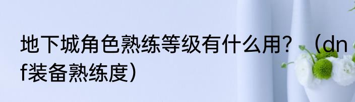地下城角色熟练等级有什么用？（dnf装备熟练度）