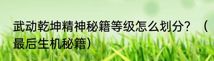 武动乾坤精神秘籍等级怎么划分？（最后生机秘籍）