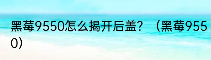 黑莓9550怎么揭开后盖？（黑莓9550）