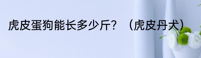 虎皮蛋狗能长多少斤？（虎皮丹犬）