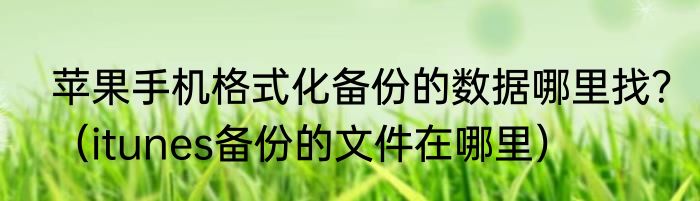 苹果手机格式化备份的数据哪里找？（itunes备份的文件在哪里）