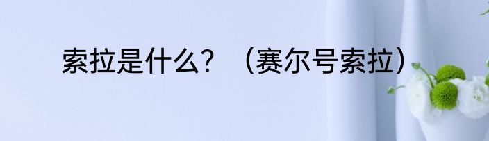 索拉是什么？（赛尔号索拉）